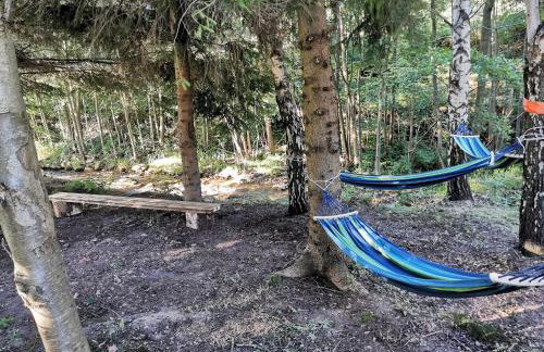 Nad Potokiem z Alpakami - Foto 37