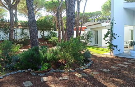 Diseño y luz entre los pinos - Foto 51