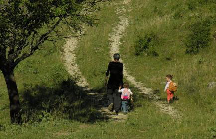 Gîte du Lapin Voyageur - Foto 29