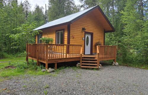 Talkeetna Fireweed cabin 2 - Foto 1