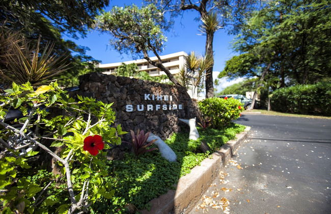 Kihei Surfside - Maui Condo & Home - Photo 19