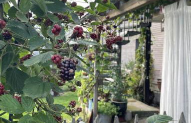 Glücksmomente - Photo 21