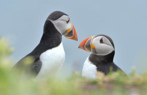 Apartment 500 - Metro style apartment on NC500 - Foto 20