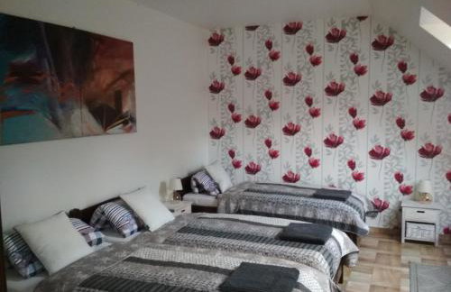 Koci Grzbiet Agroturystyka - Foto 28