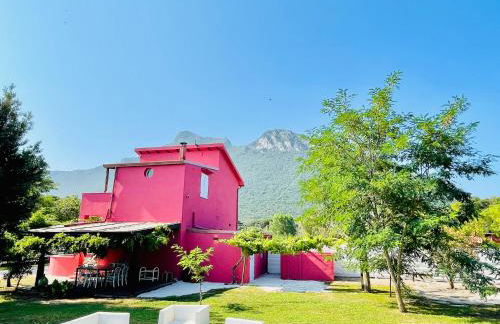 Tenuta Clementino - Foto 23