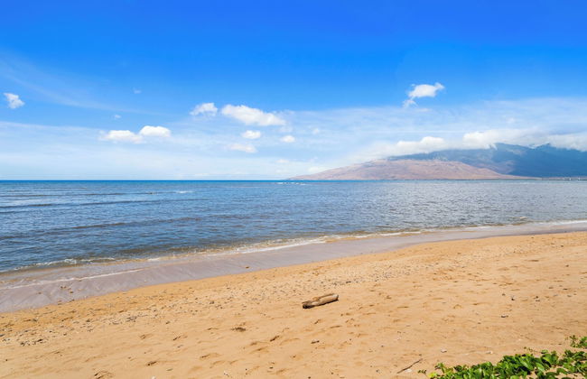 Maui Schooner Resort - Photo 51