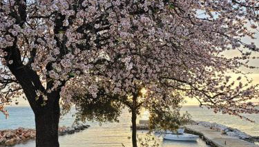 Robinson House Mimo - Photo 5