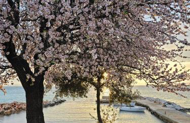 Robinson House Mimo - Photo 5