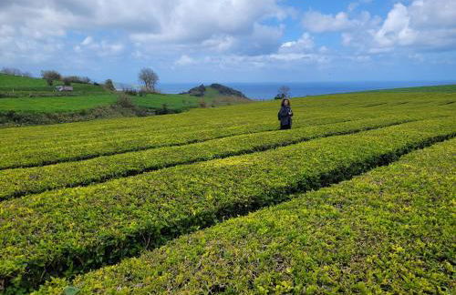 Casa das Azorinas - Foto 42