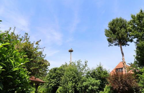 Rustic-style Apartment in Buschenhagen With Garden - Foto 20