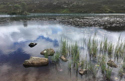 Robinsons Cottage, central and quiet - Foto 41