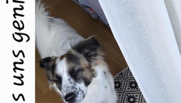 Museum Lust auf Zuhause Ferien in der Provinz - Foto 2