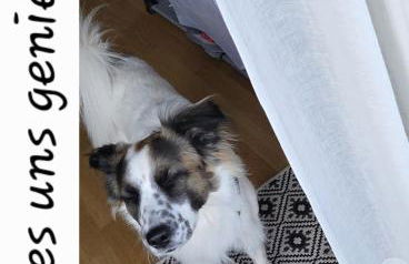 Wohnung Marina Lust auf Zuhause Ferien in der Provinz - Foto 3