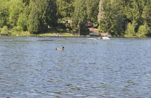 Guppies Lakehouse-Prvt. Lake Acc, Close to Rainier - Foto 42