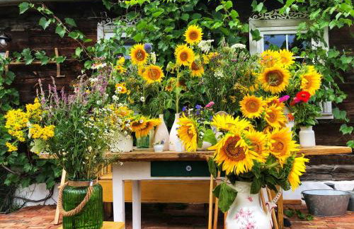 Magiczne Podlasie - Foto 11