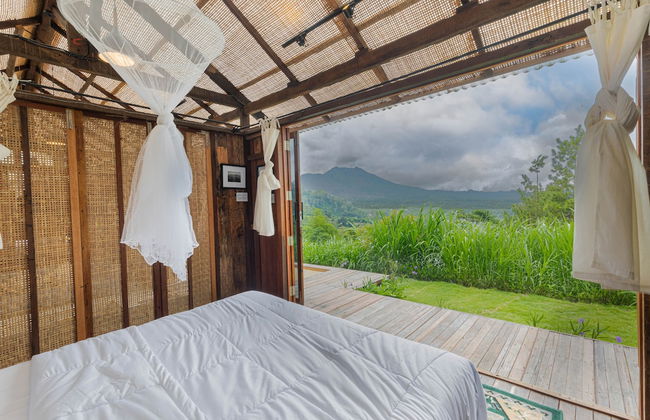 Calidas Hill - Photo 6