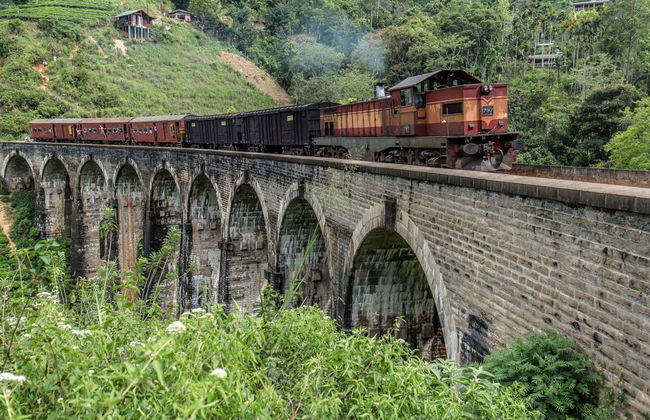 Tour privado por Ella - Foto 2