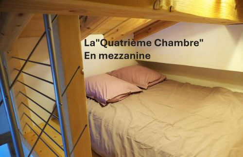 Vielyterra - Chalet haut de gamme - Domaine du mont blanc - Foto 25