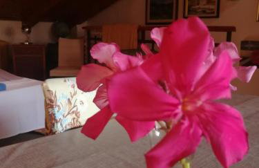 La Calletta - Foto 32