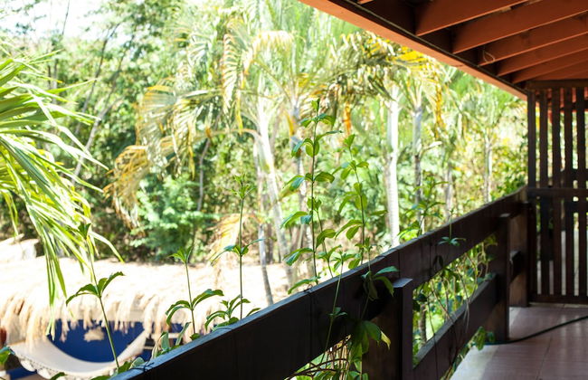 Apartamentos Massai - Foto 42