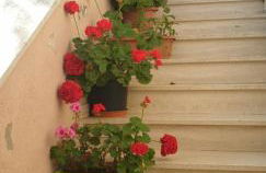 El Giardino delle Rose..... - Foto 19