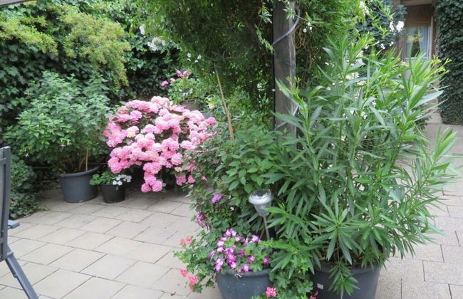 "Am Ahornweg" Modern Retreat - Photo 26