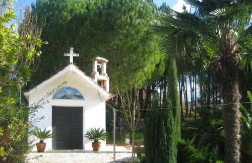 Quinta do Guerra - Foto 48