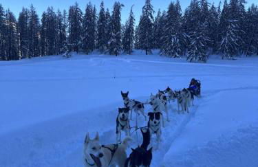 PUY SAINT VINCENT APPARTEMENT T2 BALCON SUPER PANORAMA AVEC PARKING PRIVE COUVERT et PISCINE L'ETE - Foto 9
