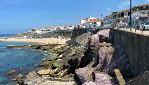 Sea Ceiling - Ericeira - Photo 2