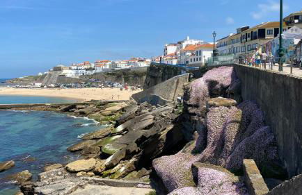Sea Ceiling - Ericeira - Foto 2