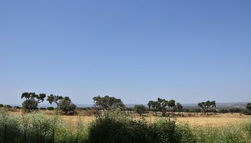 Herdade Joana Dias by PortusAlacer - Foto 5