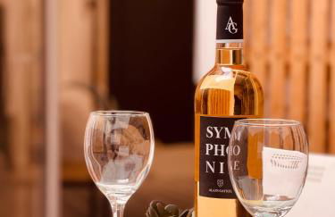 Le Studio Terrasse - Le calme en plein cœur du centre-ville - Photo 1