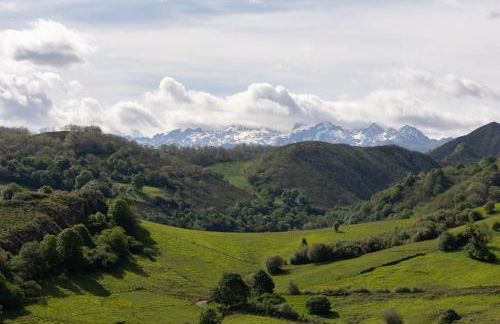 La besñada - Foto 16
