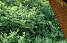 Scharbeutz Waldblick - Foto 26