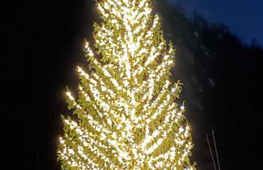 Maison Eglantine - Foto 62