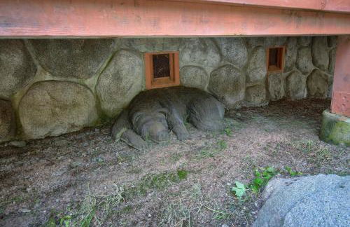 Rivercrest Lodge with Hot Tub-Pool Table-Firepit - Foto 49