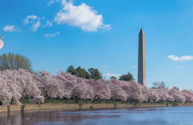 Global Luxury Suites at Capitol Hill - Foto 59