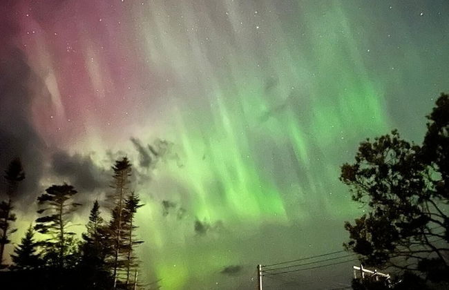 Bonne Bay Cottages - Photo 66
