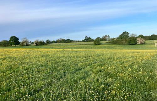 Helmdon House - pool & tennis court, 7 bedrooms - Foto 17