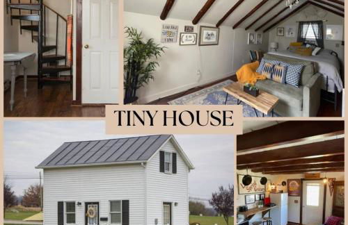 Cozy Tinyhouse JMUDowntown Fire Pit Yard - Foto 1