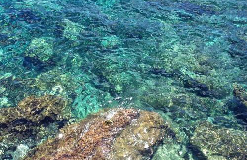 Villa Agapanthus - Foto 52