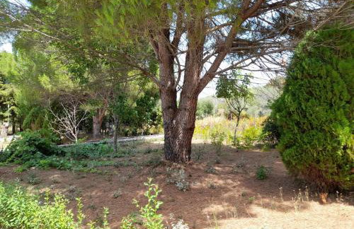 Lemontree Apartments - Foto 58