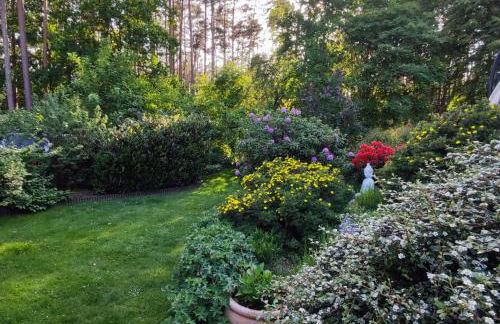 Waldidylle - Foto 20