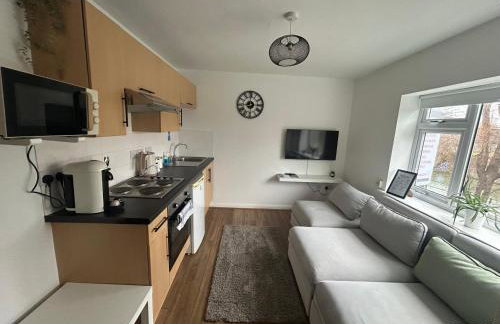 Canal Apartments, Canal View, Temple Meads station - 10 minutes - Foto 5