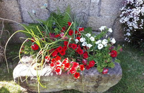 Casa do Crego - Foto 42