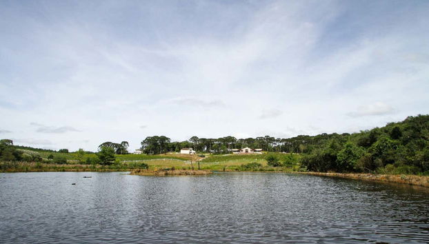 Excursão à Vinícola Araucária - Foto 3