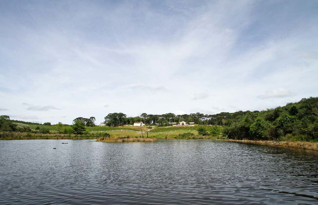 Visita alla cantina Vinícola Araucária - Foto 3