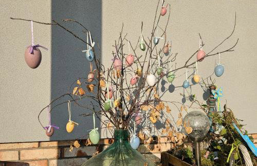 Lawendowy Raj - Foto 62