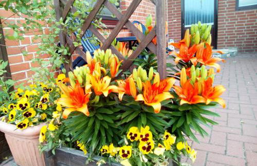 Ferienwohnung in Isenbüttel - Foto 18