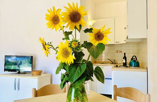 Casa in Maremma Tuscany Village - Foto 41